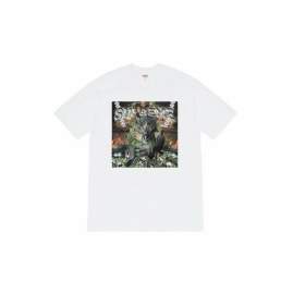 Picture of Supreme T Shirts Short _SKUSupremeS-2XLthtxS221433